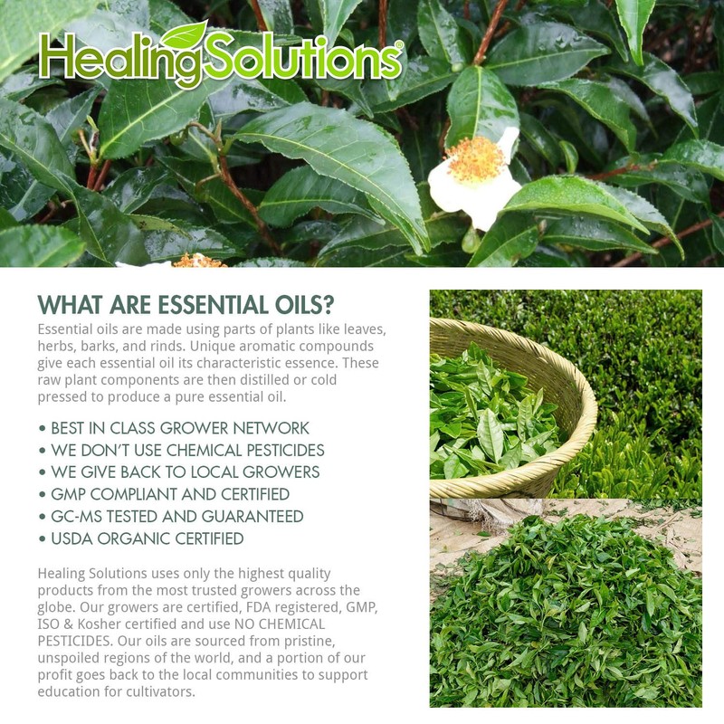 Healing Solutions 60ml Oils - Tea Tree Essential Oil -