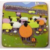 Thomas Joseph - Set of 6 Coasters (Edition 3)