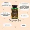 Vegavero Mushroom Complex | High Strength Extracts | Reishi, Cordyceps,