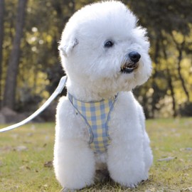 Kuveela Pet Harness and Leash Set, for Dogs and Cats, with Reflective Strips, Adjustable, Walking, Going Out, Easy to Put On and Take Off, Small Dogs, Medium Dogs, Large Dogs, Plaid, Yellow and Blue, XXS