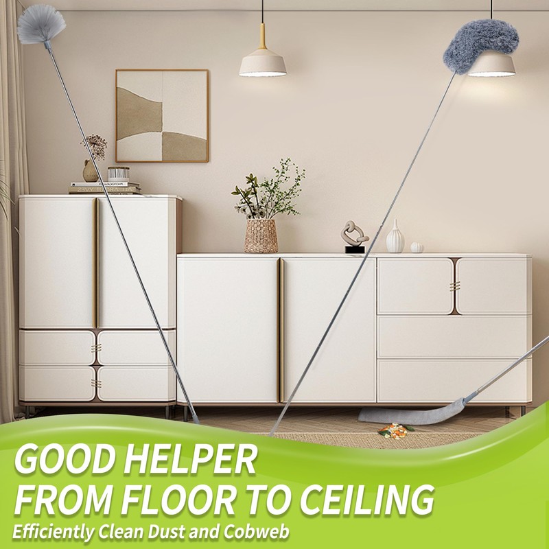 IVYROLL Duster with Extension Pole, Skinny Duster & Spider Web