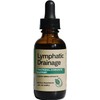 Lymphatic Drainage Drops, 2000mg Herbal Blend with Elderberry & Echinacea