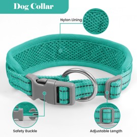 Dog Leash and Collar Set, Adjustable Pet Lead with Poop Bag Holder for Small Medium Large Dogs (Teal Color, L)