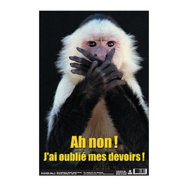 Poster Pals French Educational & Language Teaching Fun Photo Posters,Bilingual Charts, Classroom Decorations, FSL, 4 Poster Set