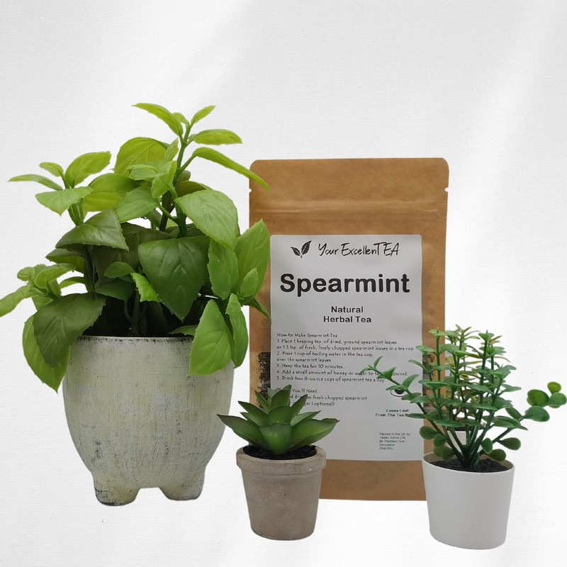 Your ExcellenTEA - Spearmint Loose Leaf Herbal Tea Pure Mint