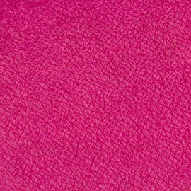 Neve Cosmetics Eye Pastel with High Mixability | Pink Penguin