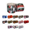 Ringside Apex Boxing Training Hand Wraps (Pair) Mexican