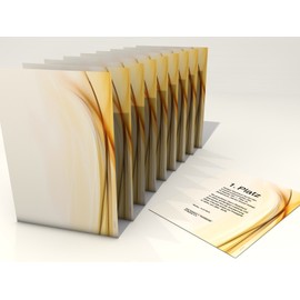 Ambiance Certificate Paper, 10 Sheets, Modern, for Certificates, DIN A4 190 g/m², High Quality, Letter Paper, Cardboard Paper, Certificate Paper, Blank Certificate, Recognition Paper