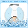 Bsemax 2 Pcs Replacement Ice Packs for Automatic Cat Feeder