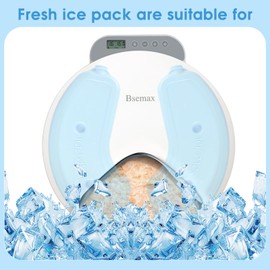 Bsemax 2 Pcs Replacement Ice Packs for Automatic Cat Feeder Wet Food and Automatic Pet Feeder （Place It Horizontally, Not Vertically）