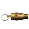 Milton S-1090-150 1/4" MNPT ASME Safety Valve - 150 PSI