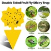 200 Sticky Traps for Fruit Flies and Gnats - Indoor
