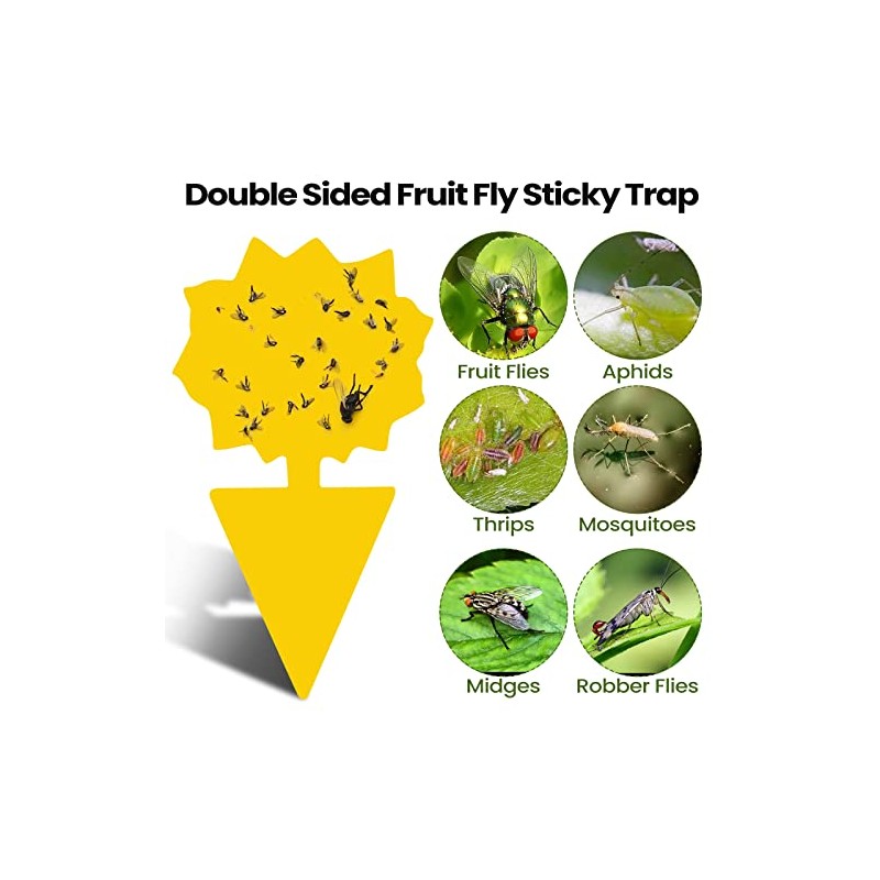 200 Sticky Traps for Fruit Flies and Gnats - Indoor