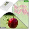 KEOHOLI Large 2 Packs Fruit Tree Netting Bags with Zipper