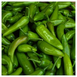 Everwilde Farms - 1/4 Lb Organic Jalapeno Hot Pepper Seeds - Gold Vault