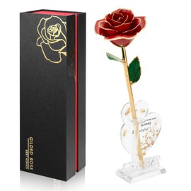 Anthonic Gold Dipped Infinity Rose Last Forever Flower Decor, Birthday Gift for Women in Her Birthday Mothers Day, Resin Preserved Rose | Anniversary Present for Mom (Red)