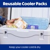 Cooler Shock Ice Packs for Cooler - 2 Reusable, Long