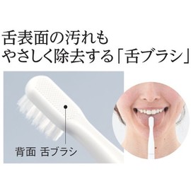 パナソニック 電動歯ブラシ ポケットドルツ ビビッドピンク EW-DS17-VP