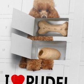 printplanet Dog Advent Calendar with Treats - Motif I Love Poodle - Christmas Calendar for Dogs - 2023