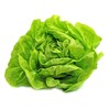 Buttercrunch Lettuce Seeds - Non-GMO - 5 grams, approximately 2,850