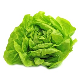 Buttercrunch Lettuce Seeds - Non-GMO - 5 grams, approximately 2,850 seeds