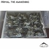 Tabletop Terrain Primal: The Awakening Board Game Insert / Organizer