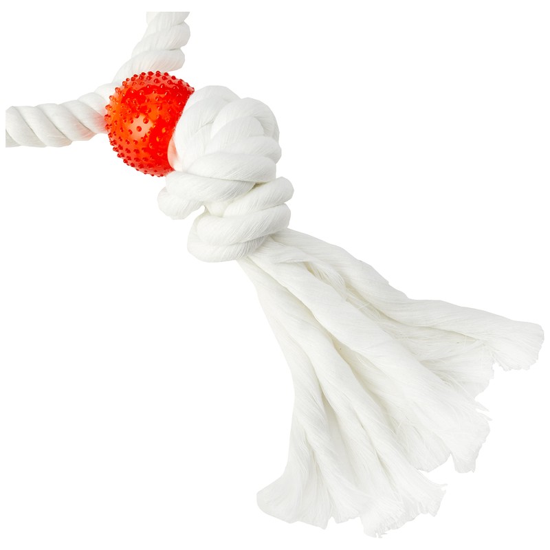 Rosewood Parrot Toy Twin Parrot Rings, Large,White