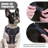 No Pull Dog Harness for Medium Dogs, Adjustable No Choke