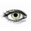 Lucifer® natürliche Farbige Kontaktlinsen Cloud Light Green - 2 Stück