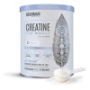 Birdman Creatine For Women Creatina Para Mujer Con Inositol, Acido