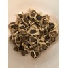 Malunggay 30 Organic Malunggay Seeds Moringa oleifera Drumstick Horseradish Arizona
