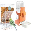 Automatic Feeder Birds and Water Dispenser Transparent Acrylic Bird Feeder
