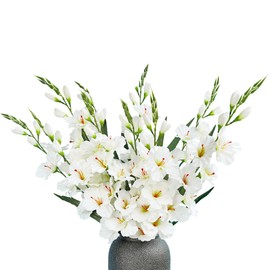kimbovillea Pack of 10 - Artificial Gladiolus Silk Orchids Flower Stems Fake Dendrobium Flowers Daffodils for Home Garden Party Wedding Decoration (White)