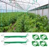 40Pcs Tomato Hooks with String, Tomato Support Hooks, Tomato Holder