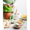 Italian Basil Naturally Flavored Extra Virgin Olive Oil from Terre