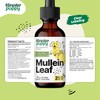 Forever Puppy Mullein Tincture for Dogs - Respiratory Health Support