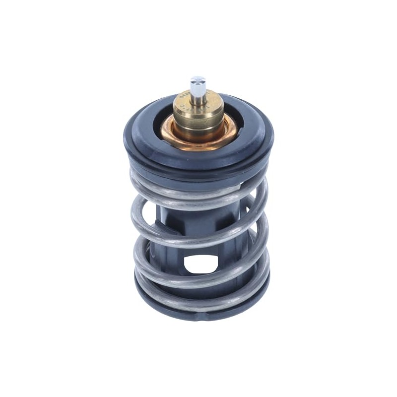 Thermostat - 207 Degrees