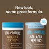 Vital Proteins Collagen Peptides Powder - Chocolate Powder for Hair,