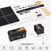 LVYUAN PWM 40A Solar Charge Controller, 12 V 24 V,