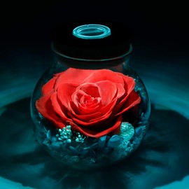 roliys Preserved Real Roses with Colorful Mood Light Wishing Bottle, Eternal Rose，Never Withered Flowers, Table Decor,Christmas Anniversary Valentine's, Red 4.3inch, 1pcs