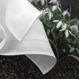 Hankiss 100% Organic Cotton "Snow" Handkerchiefs, approx. 28 cm, 6 Pieces