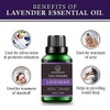Mindbreaker Organic Lavender Essential Oil, Fragrant Oils with Organic Aromatherapy