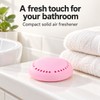 2-Piece Solid Air Freshener for Home & Car – Long-Lasting