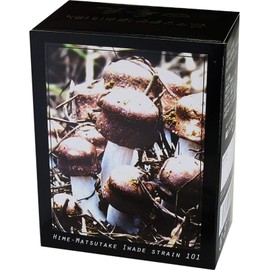 Four Seasons Original Princess Mushroom (岩出 101 Stock Use) G * 30 Bags