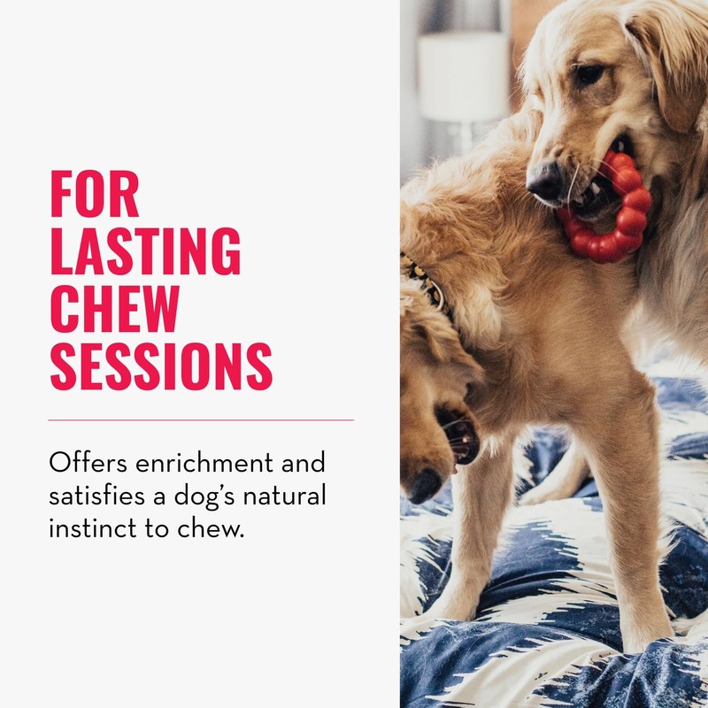 KONG Ring - Natural Rubber Ring Toy for Healthy Chewing