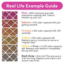 Colorfil 16x20x1 Air Filter (2-Pack) | Made in the USA | Color Changing | Remove Cat and Dog Odor | MERV 8 for Pet Hair Dander and Dust | 15.5"x19.5"x0.75" Exact Size