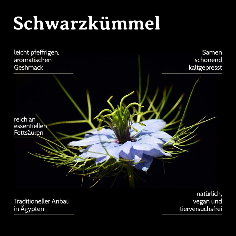 pure Black cumin Nigella sativa from Egypt 3.4oz Black cumin
