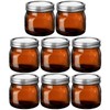 Bokon 8 Pieces Glass Mason Jars 16 oz Wide Mouth