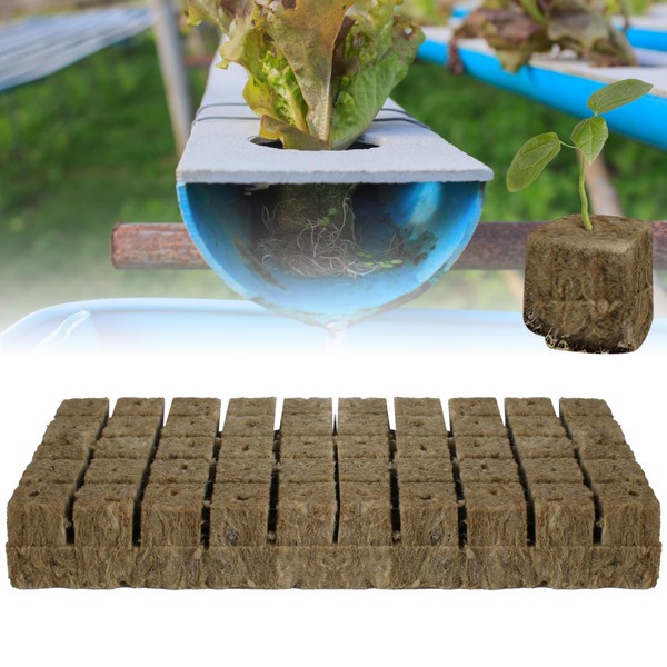 Rock Wool Cultivation, Pack of 50 Cube Rockwool, Growing Mat,