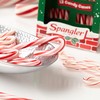 Spangler Classic Red and White Peppermint Candy Canes - Natural